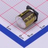 33uF ±20% 100V