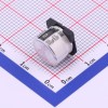 100uF ±20% 63V