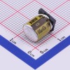 100uF ±20% 63V