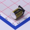 1000uF ±20% 10V