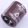 680uF ±20% 250V