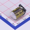 100uF ±20% 100V