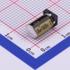 1uF ±20% 160V