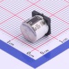 100uF ±20% 35V