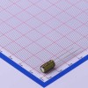 2.7uF ±20% 160V