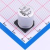 100uF ±20% 160V 涂膜